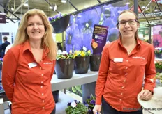 Marleen van Balkom and Carolien van der Goes with the Violas. Soon a Global Launch, big news, at the Delta Violas. At the booth, the products from seed and from cuttings were presented side by side. The differences were clearly visible. Both were eye-catchers but for a different market.The product from seed was bred to flower quickly. It therefore only needs days of 10.5 hours of light to flower. Good for retail because Petunias are in demand earlier and earlier. But if one wants product that can be enjoyed (even) longer than product from cuttings remains better. It is therefore more suitable especially for garden centers.